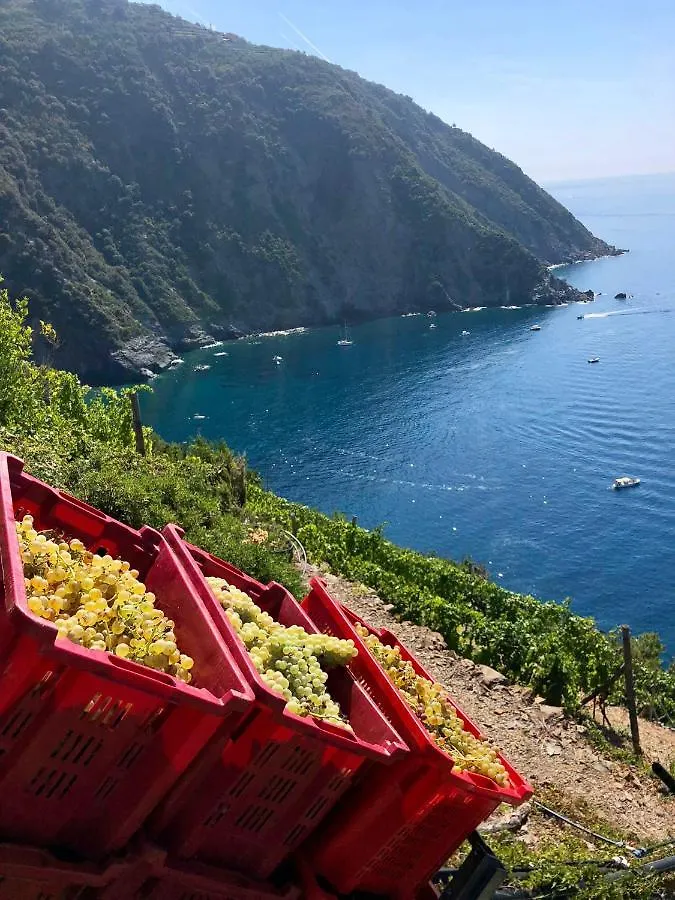 Appartement Casa Natalina à Monterosso al Mare