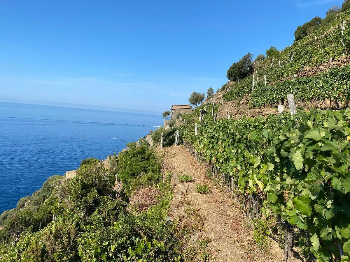 Casa Natalina Appartement Monterosso al Mare